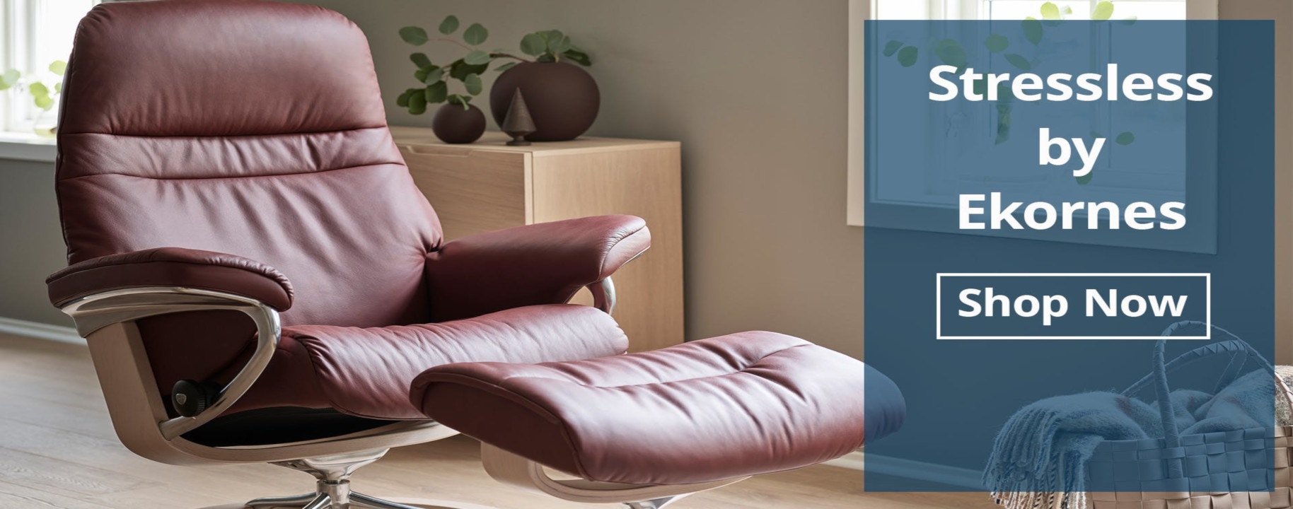 Furniture Az Vascular Furniture In Tempe Az Design Source