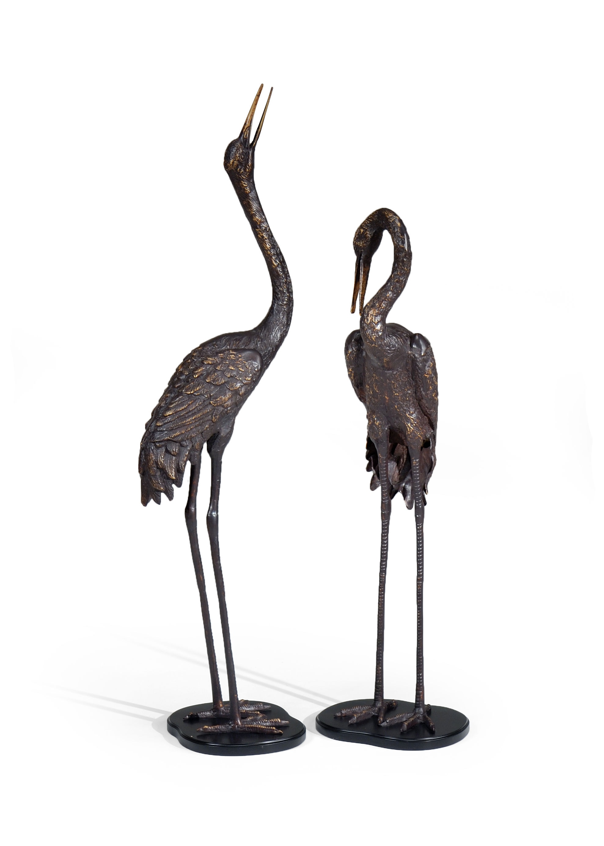 Wildwood Cranes 