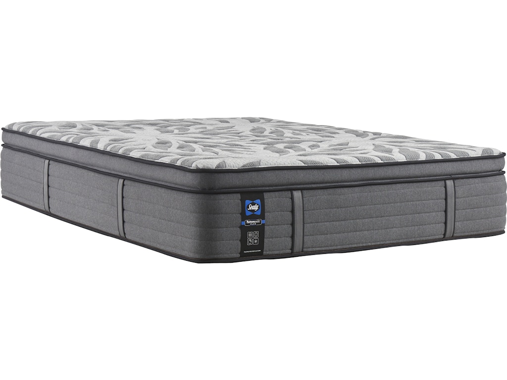 sealy safflower plush pillow top mattress