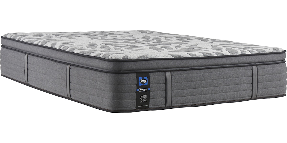 sealy firm bed mattress
