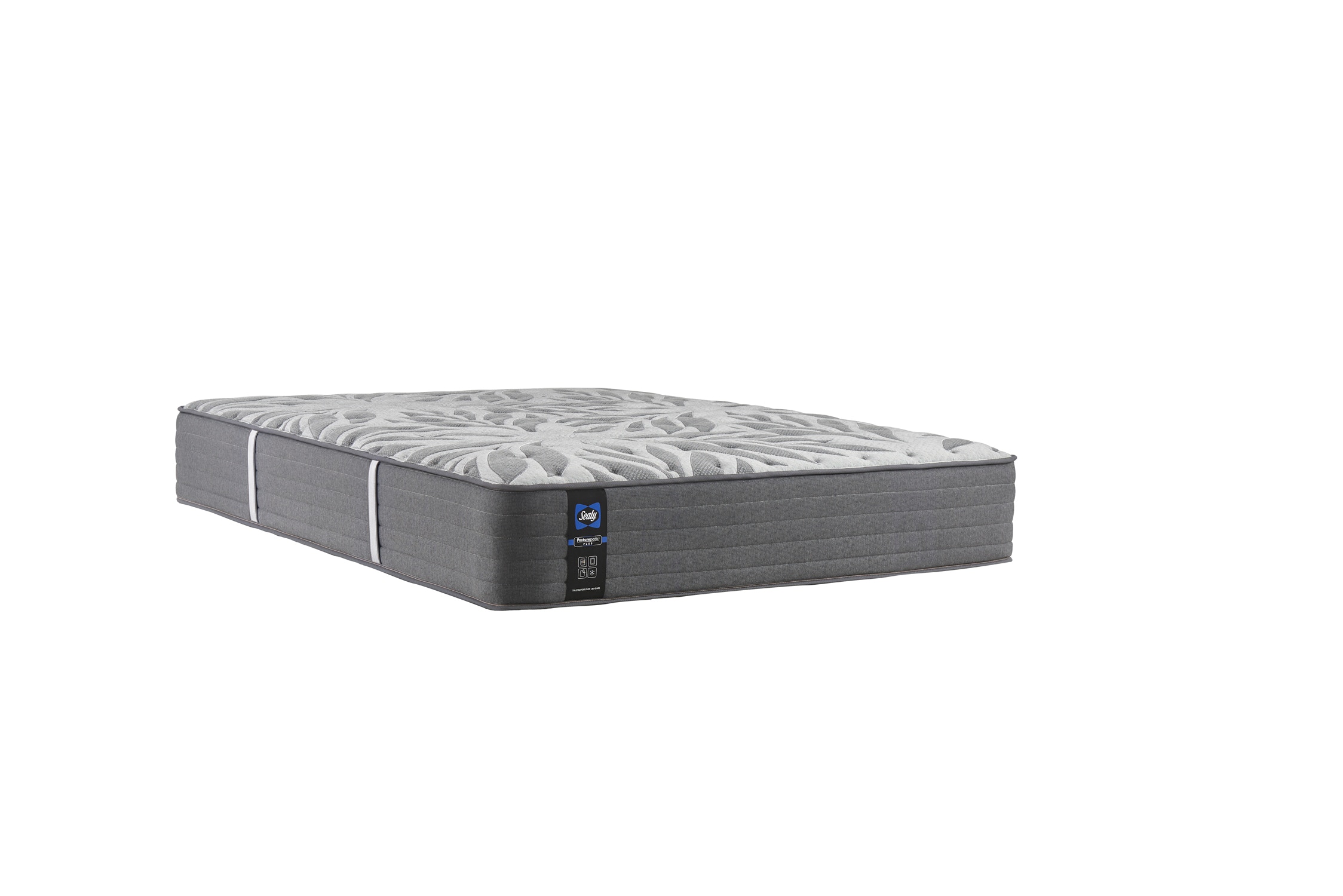 Mount auburn on sale sealy mattress