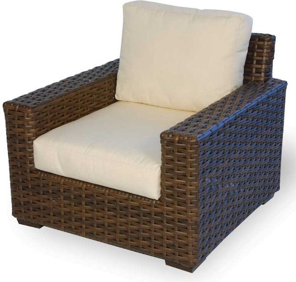 Lloyd Flanders Contempo Lounge Chair 38002