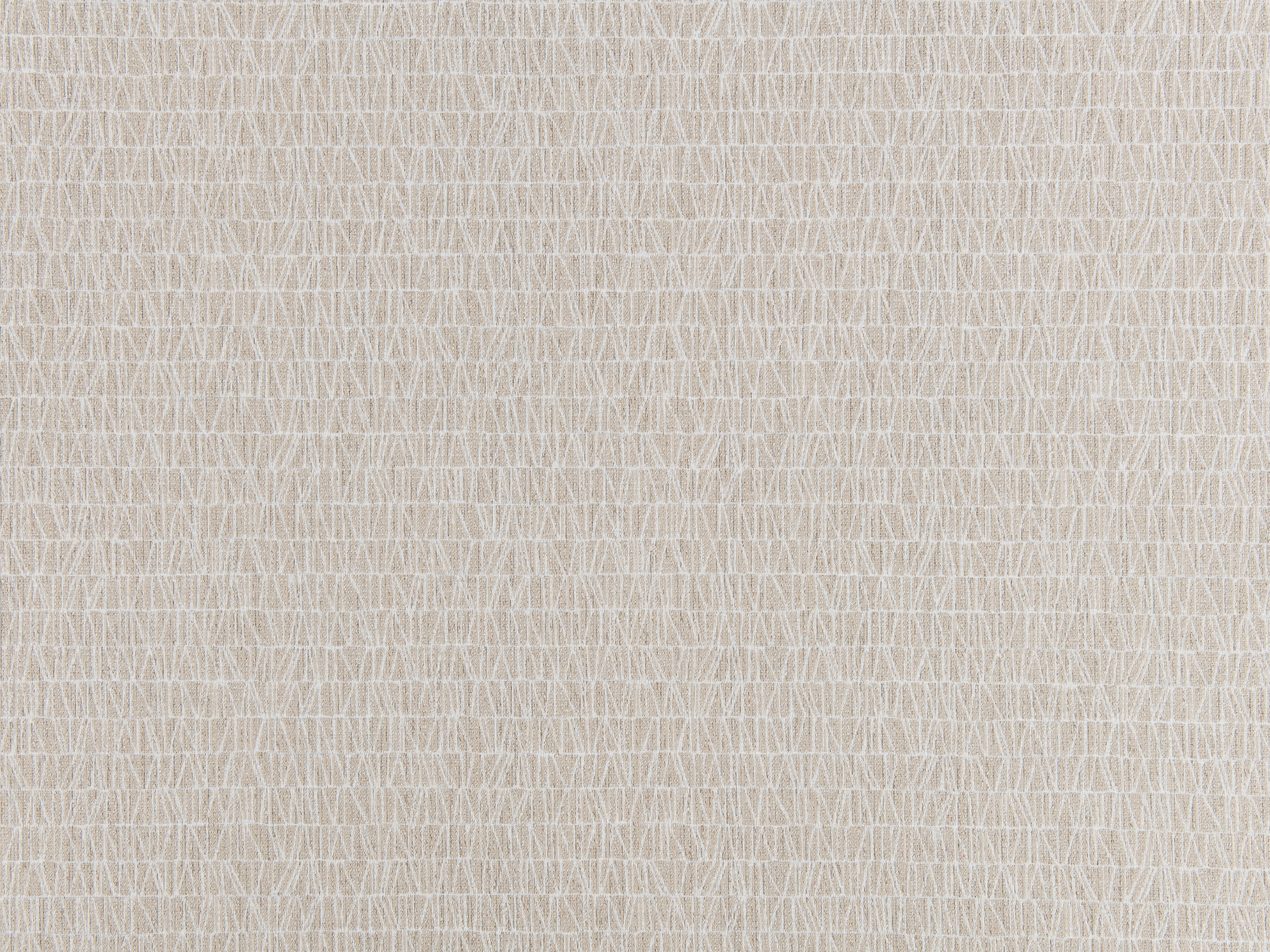 Oatmeal 100302-05