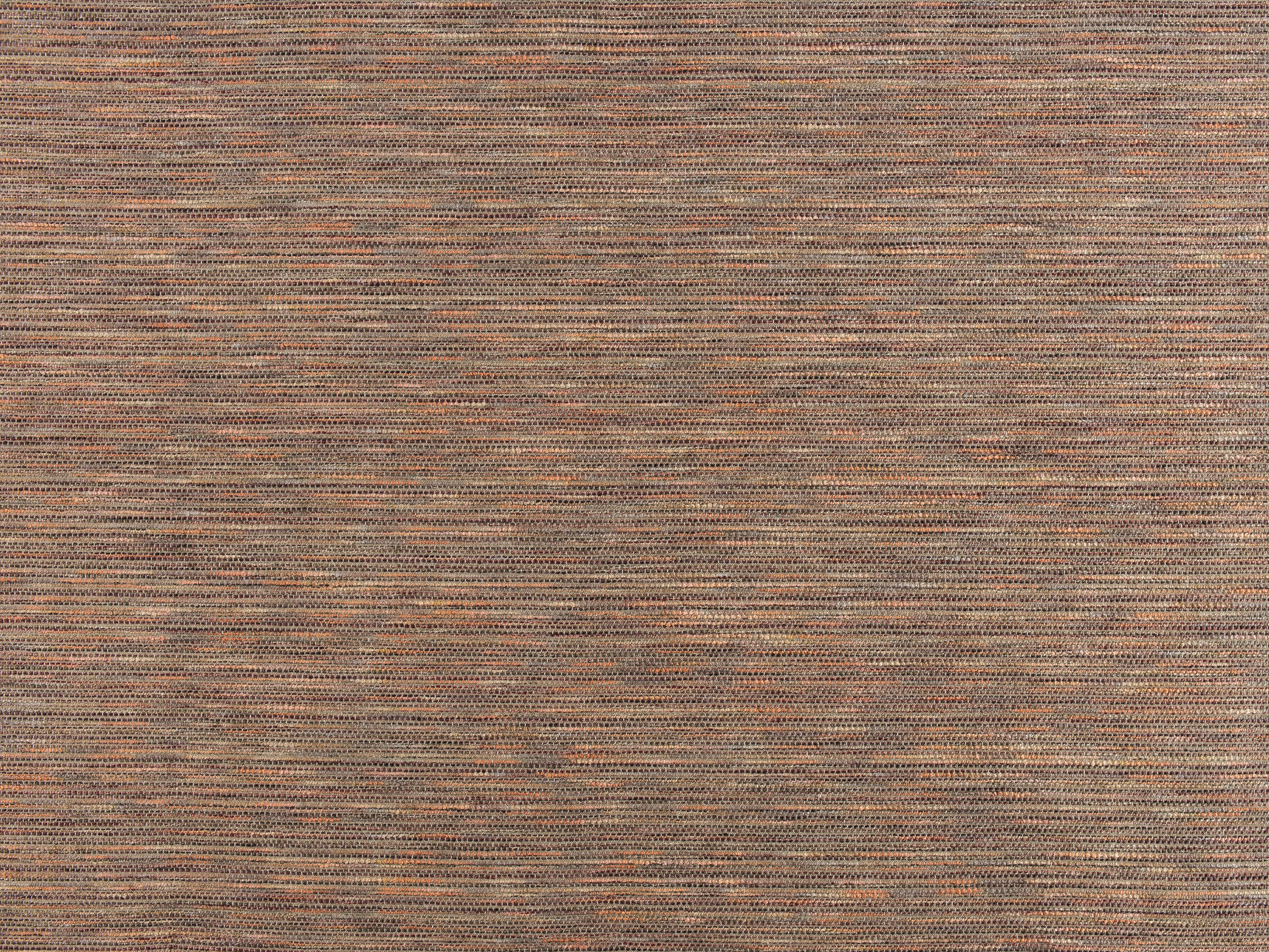 Plum 100306-54