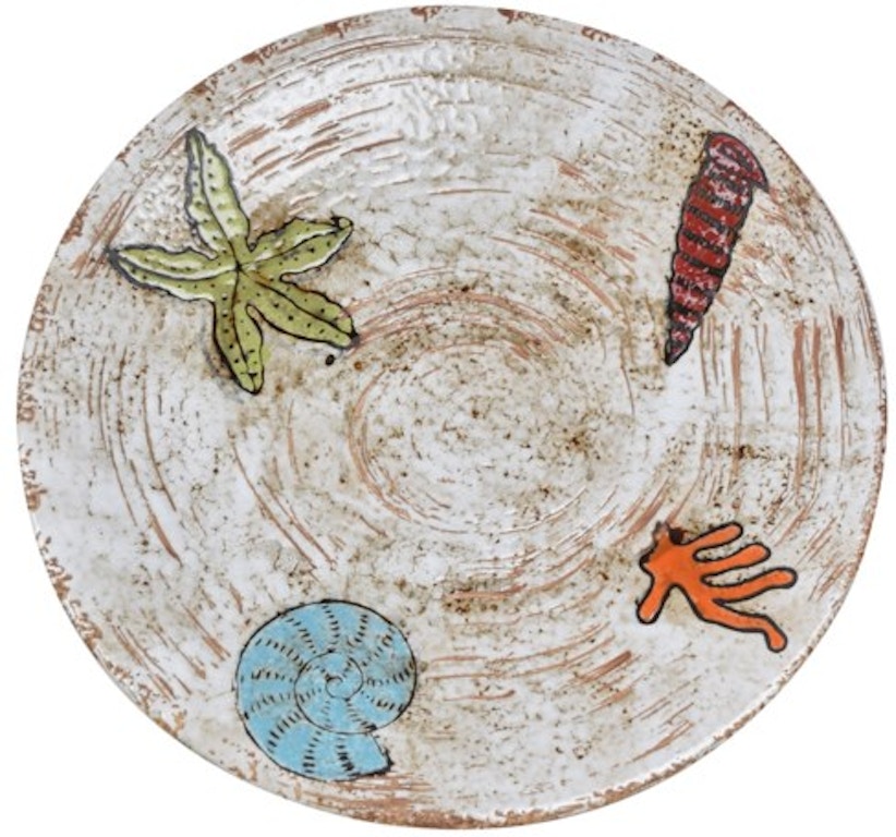 Crestview Wall Decor Coastal Shell Tray and Wall Decor CVBWF1595 ...