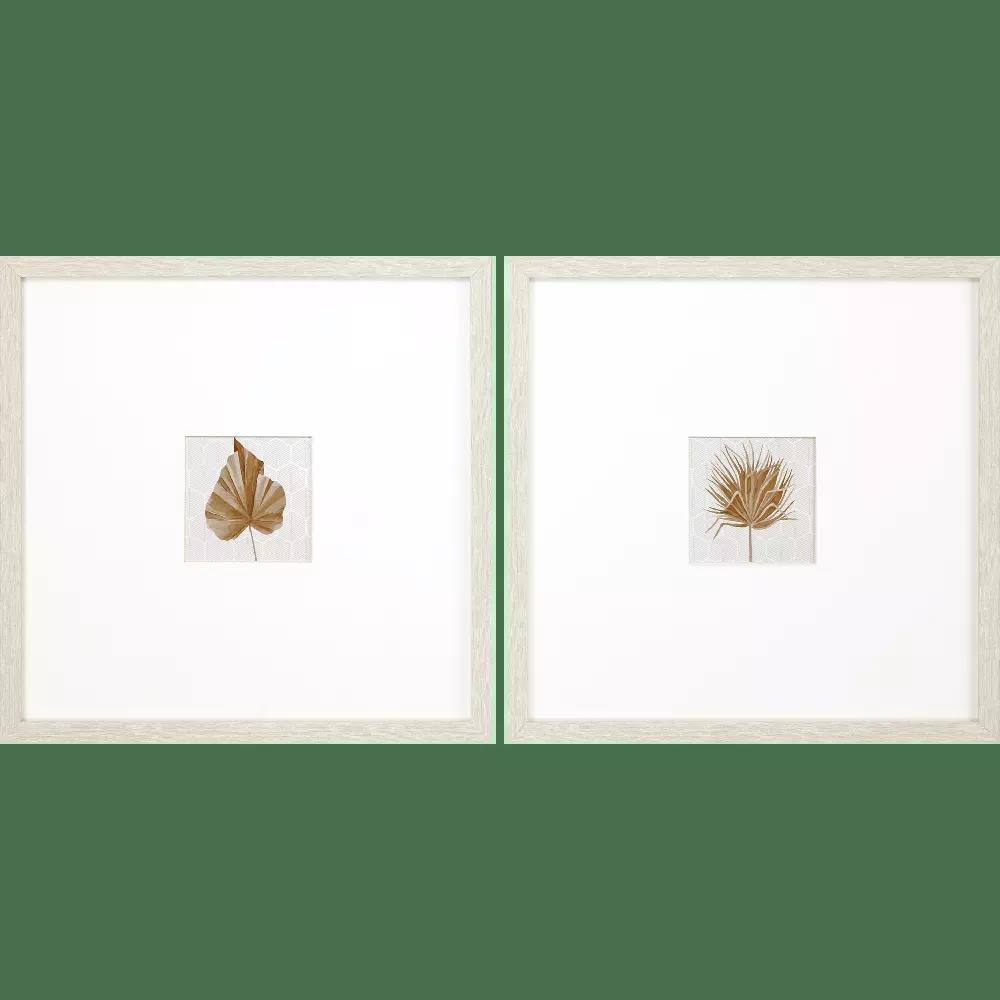  Neutral Palm S/2 46979