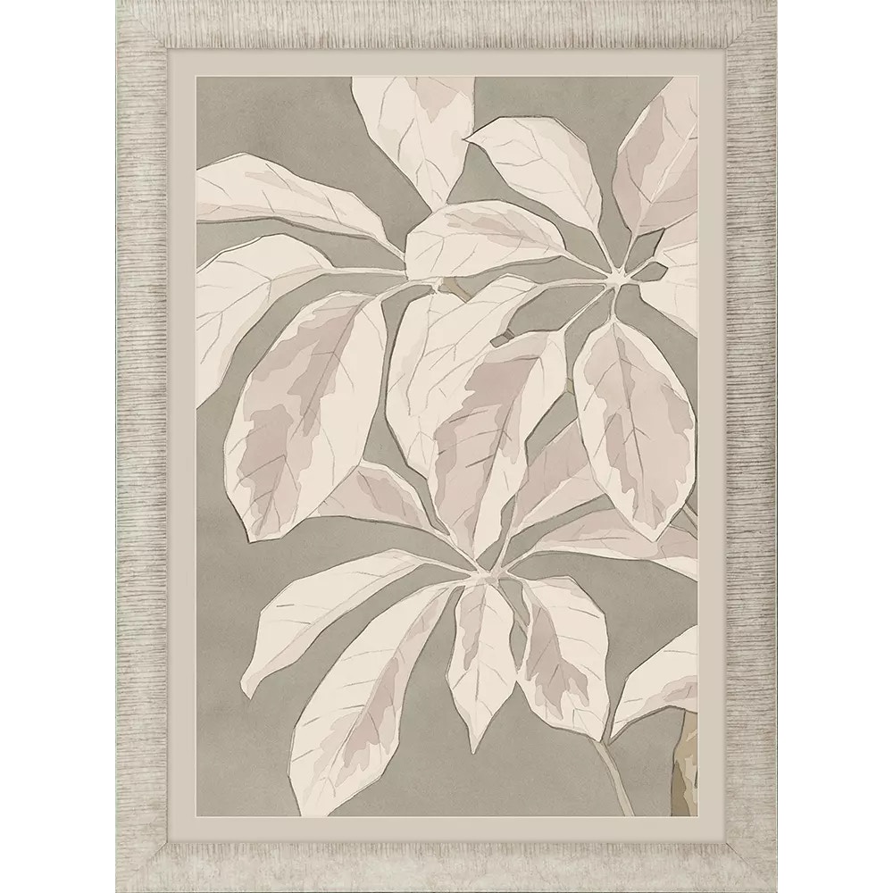 Propac Lucky Plant Focus I 47218