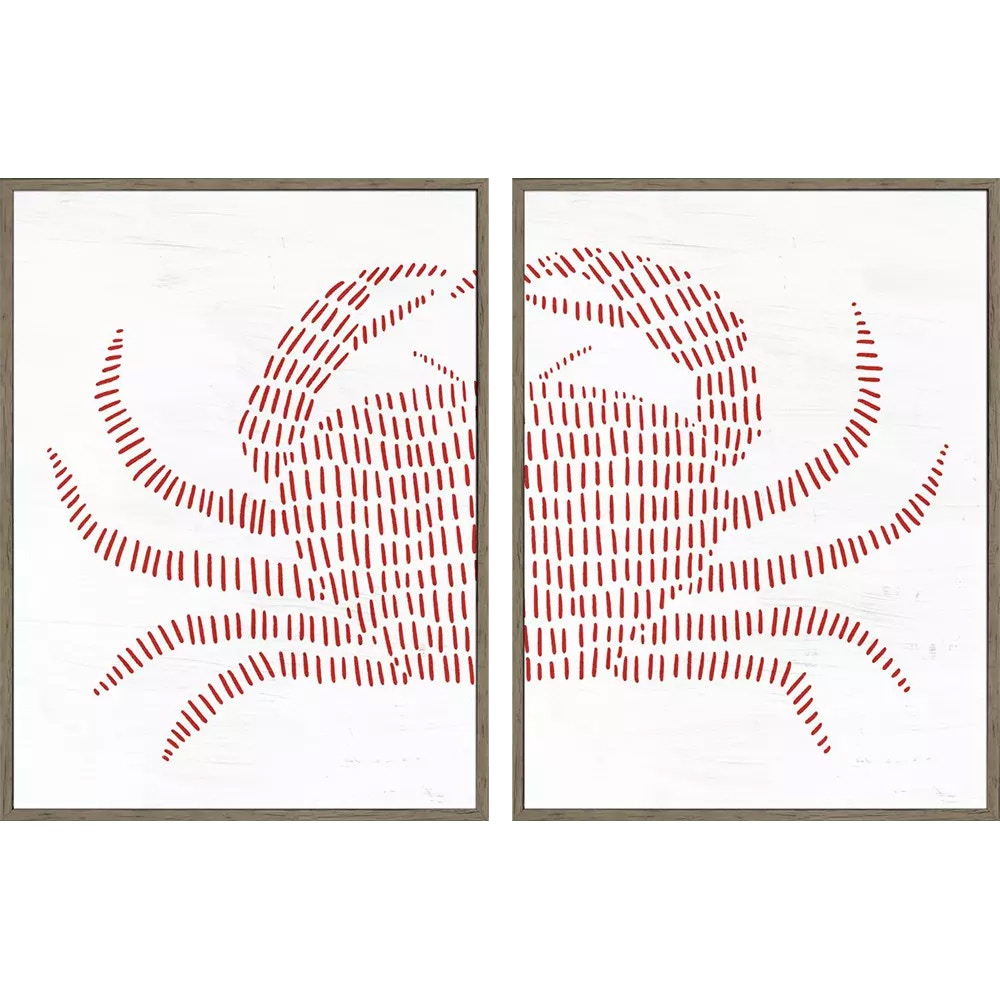  Spotted Crab S/2 47231
