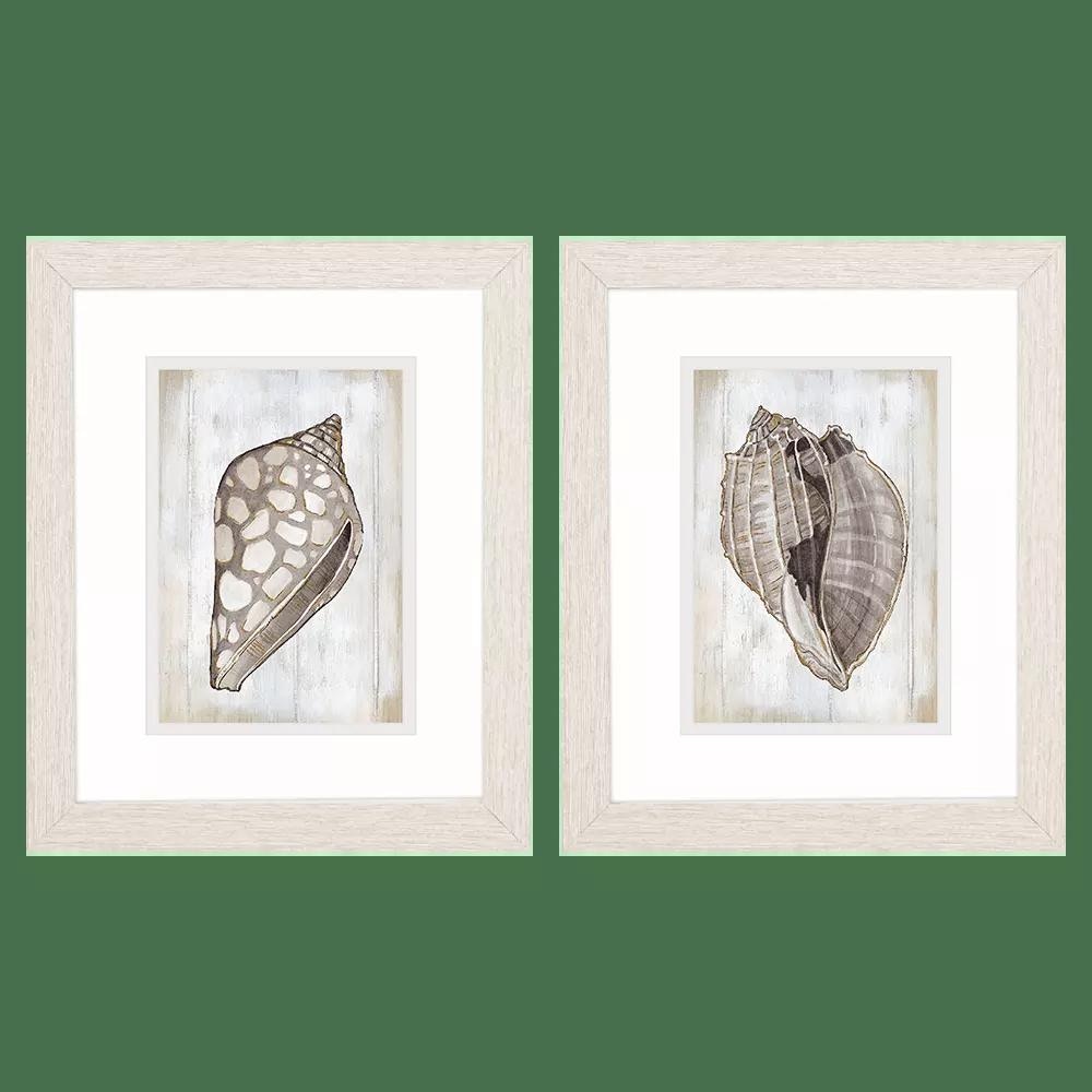  Ocean Cone S/2 48575