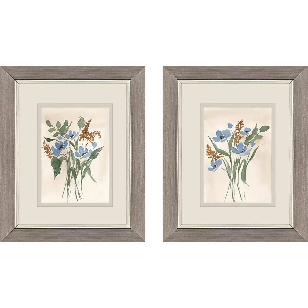  Blue Cosmos S/2 48879