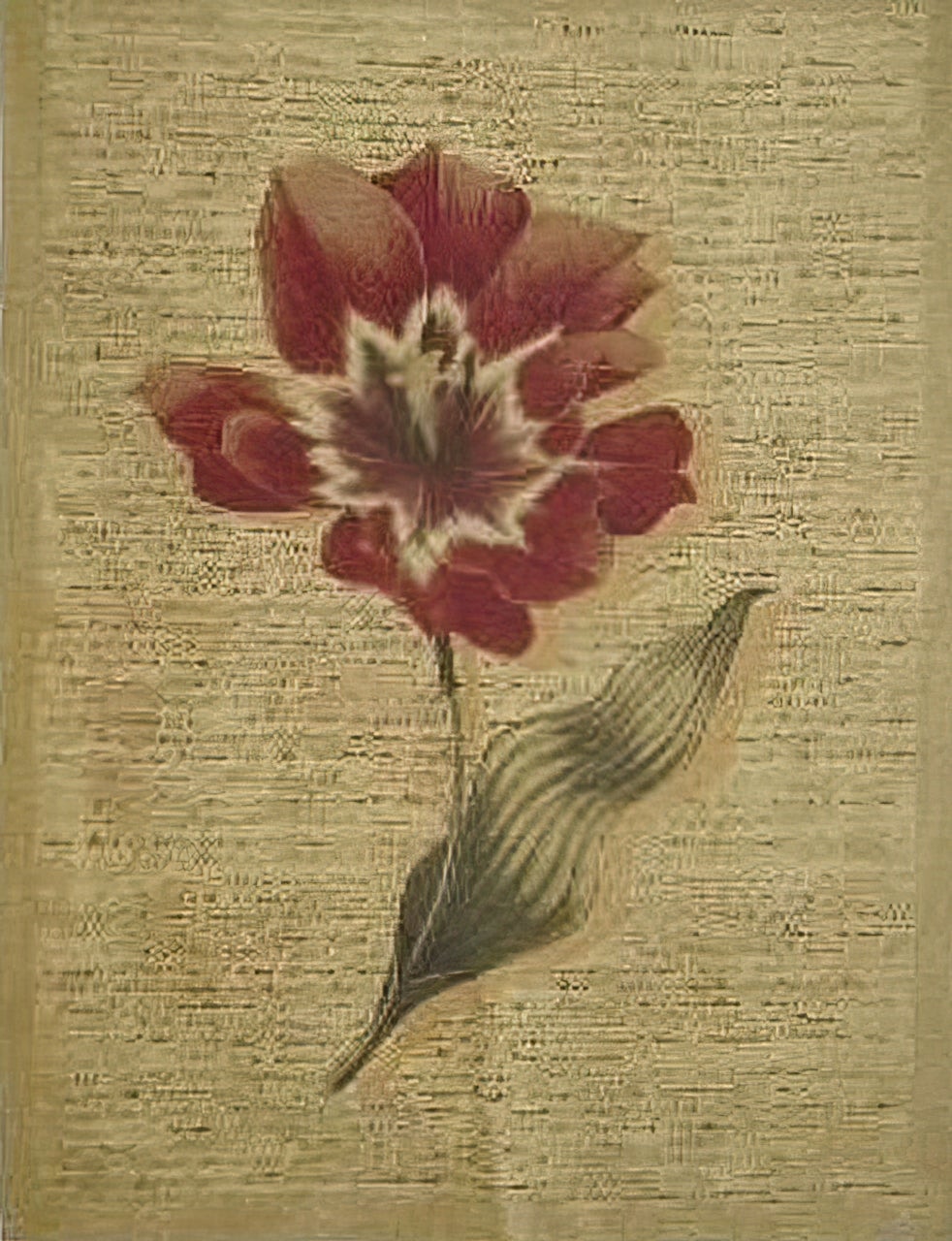  Tulip/Open AWZ-1 Tapestry 56x72 26279