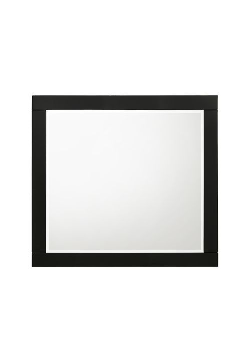  Chelsie Mirror 