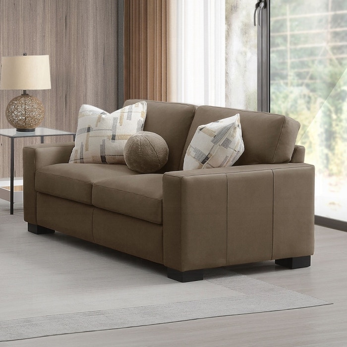  Darya Loveseat with 3 Pillows 