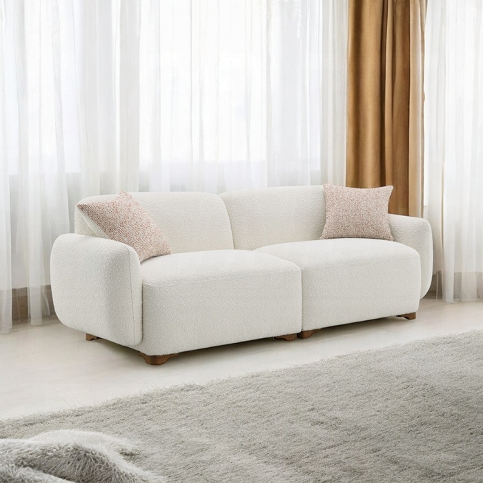  Darius Sofa with 2 Pillows 