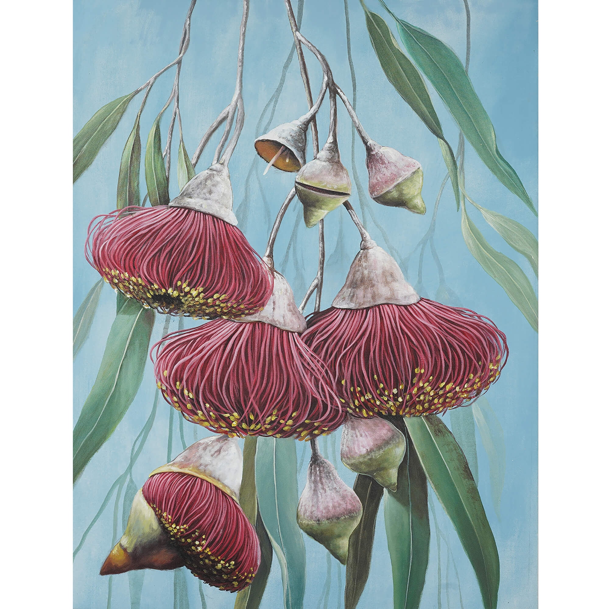 Bramble Gum Blossoms on Canvas 16 x 20 with Frame C1011