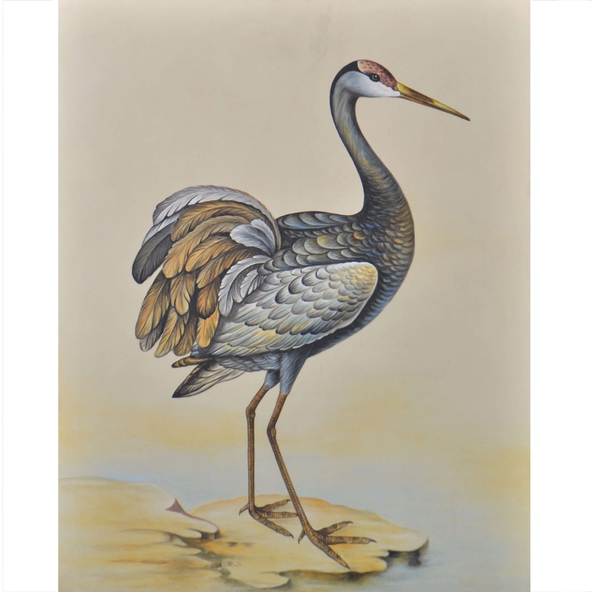  Blue Heron on Canvas 16 x 20 with Frame 