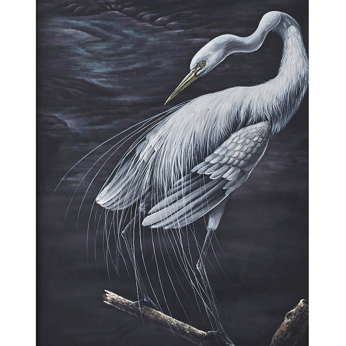 Bramble Accessories Snowy Egret On Canvas A W/Frame C749 Galeries