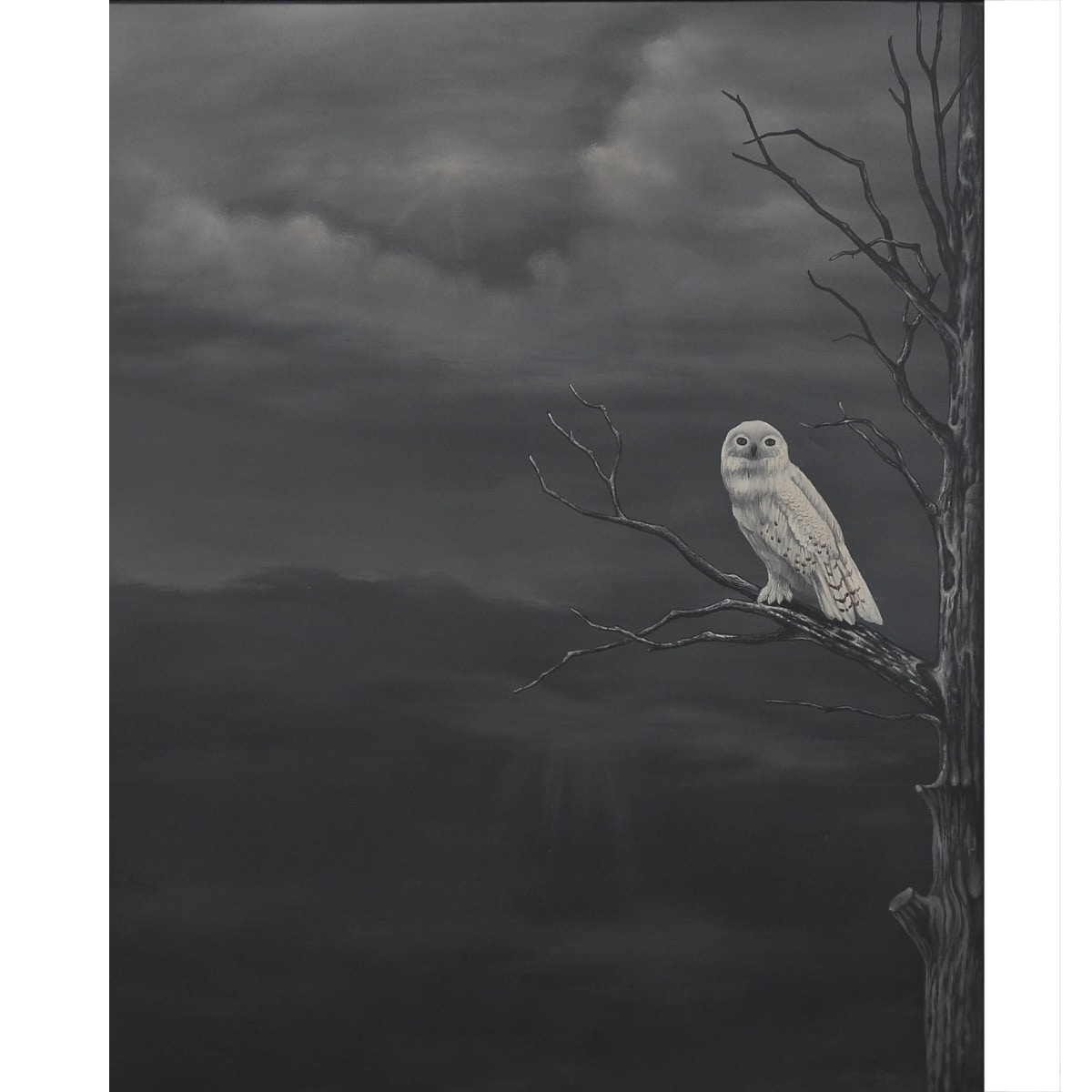 Bramble Accessories White Owl On Canvas 60 X 40 With Out Frame C865