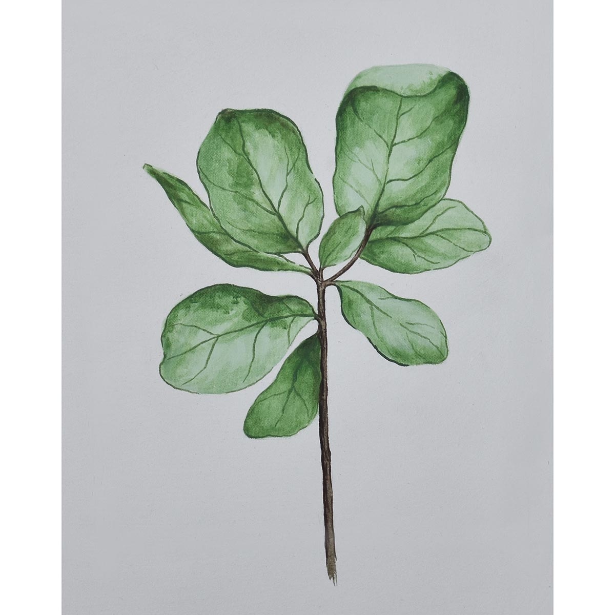 Bramble Fiddle Fig on Canvas 16 x 20 with Frame C955