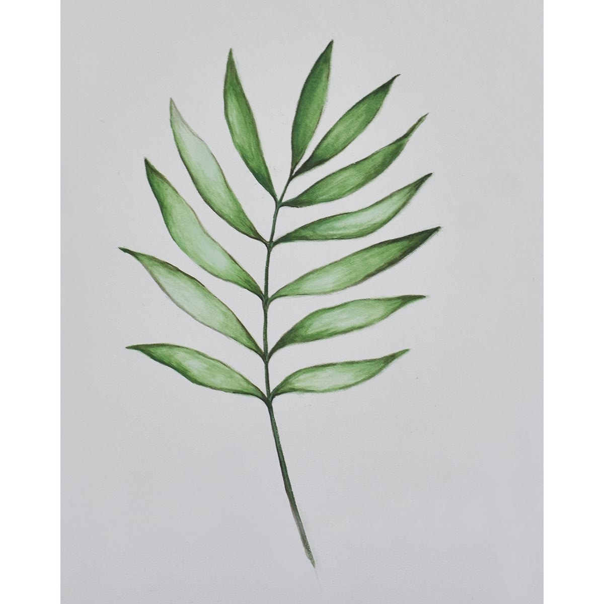 Bramble Tarragon on Canvas 16 x 20 with Frame C966
