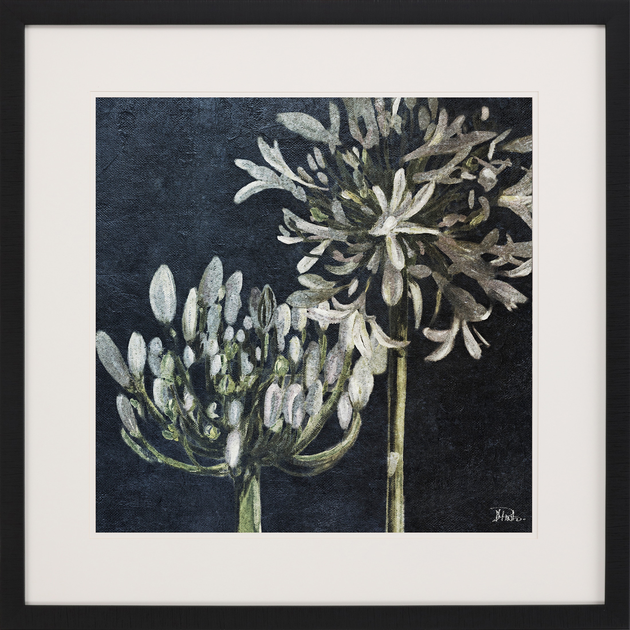 Paragon Midnight Lilies II 15684