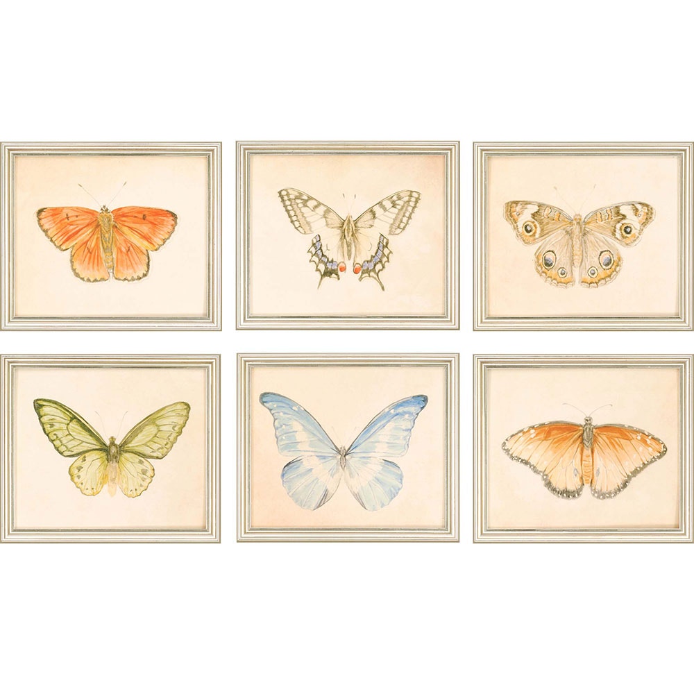 Paragon Butterflies S/6 1569