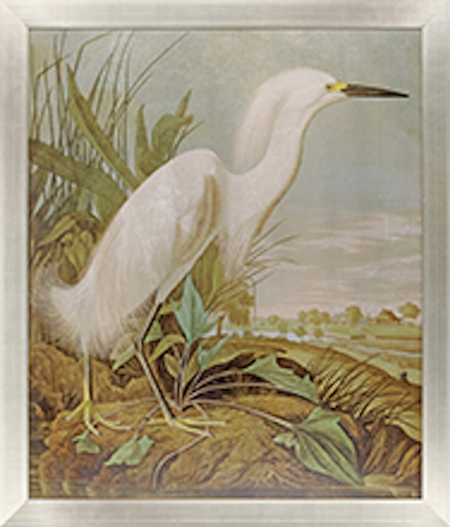 Paragon Art White Egret 22612 - Indian River Furniture - Rockledge FL