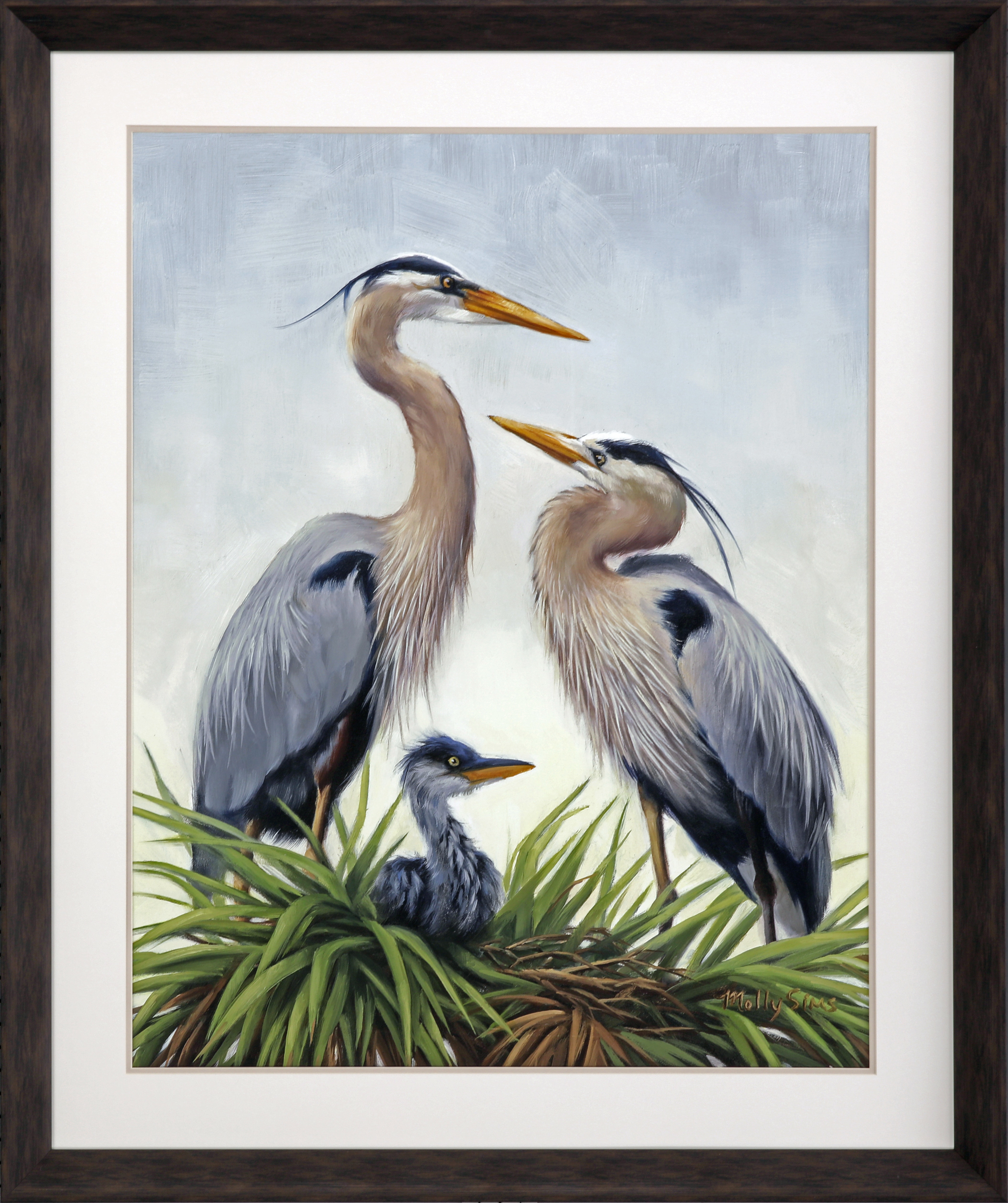Young Heron Family PPG31379