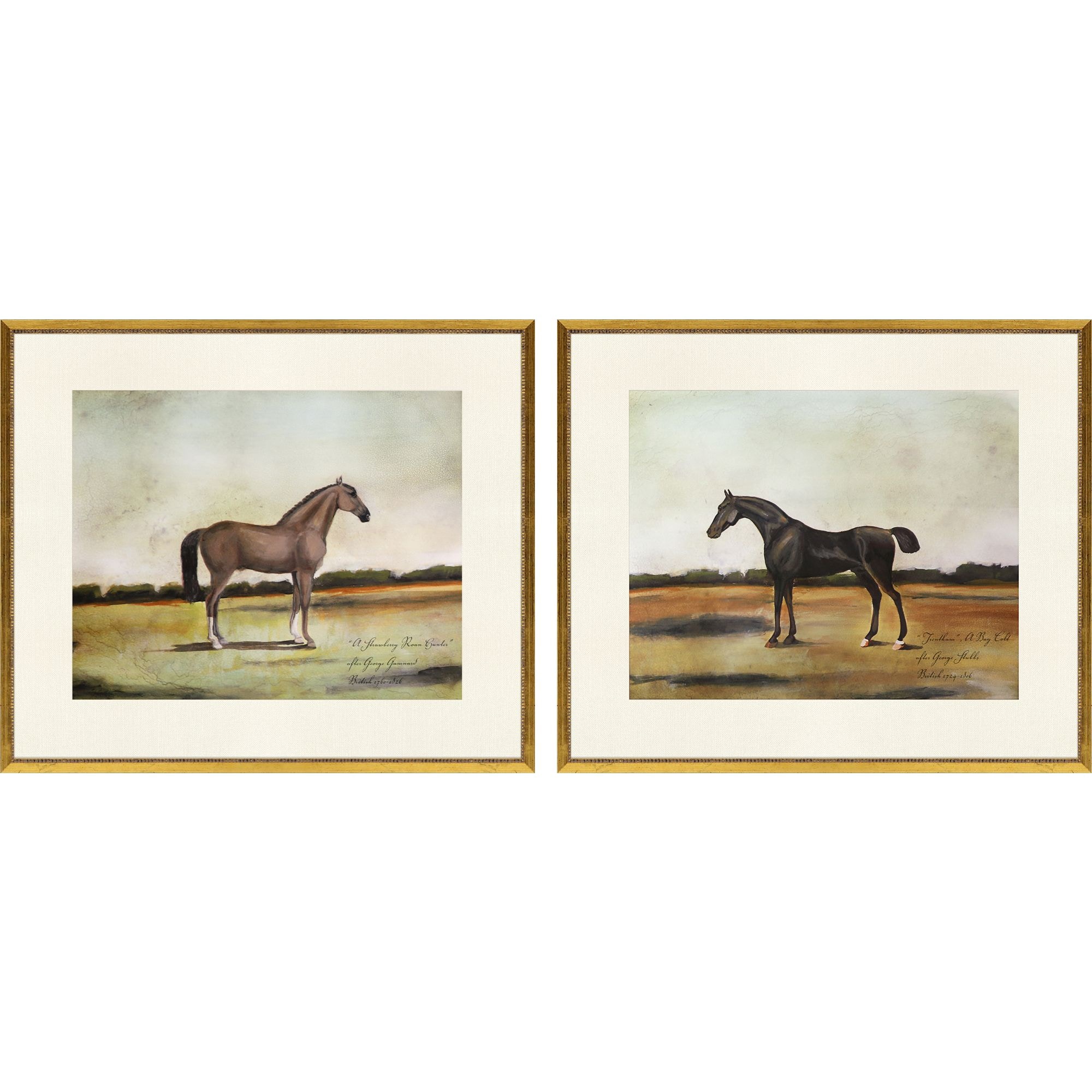  Equestrian III S/2 31432