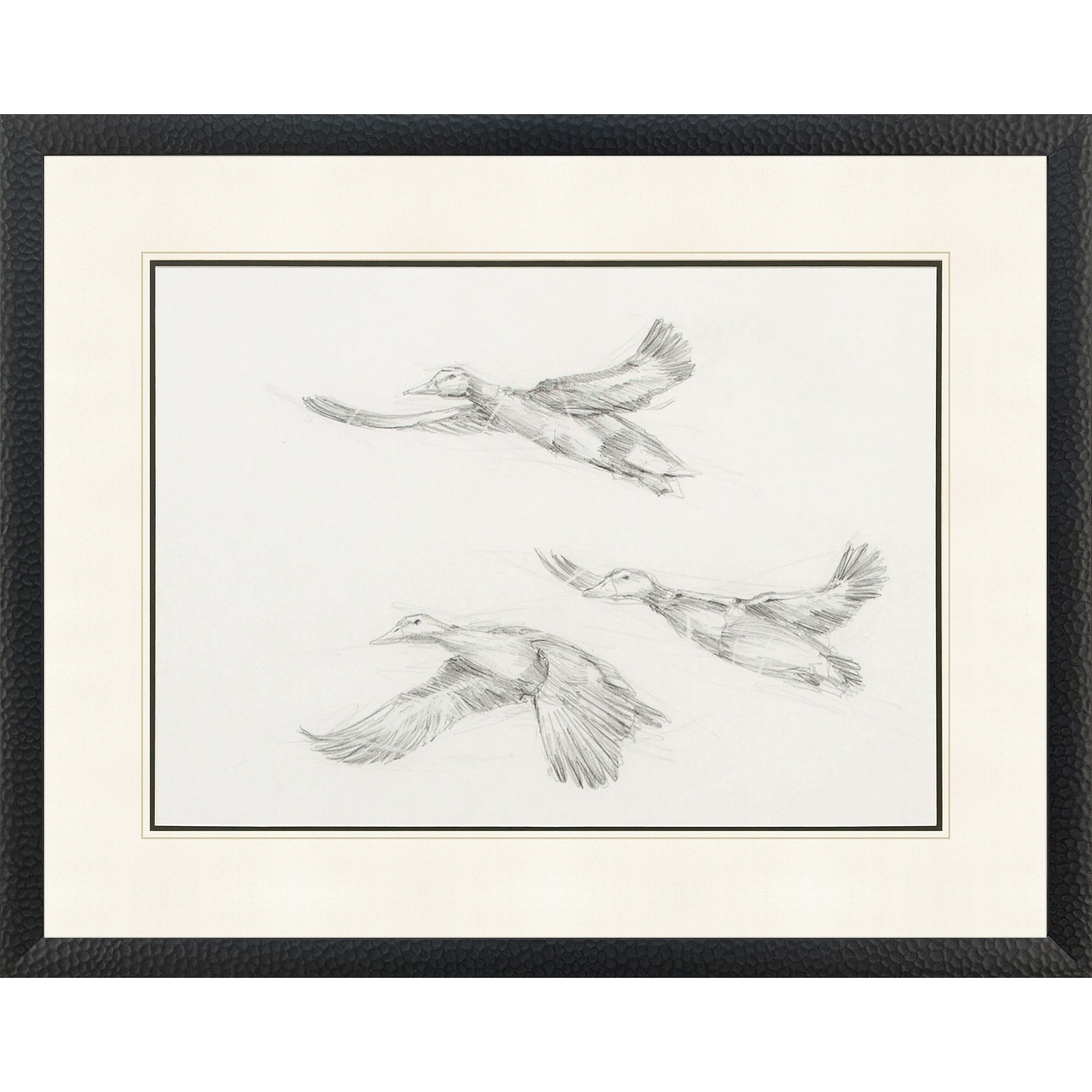  Mallard Duck Sketch II 33082