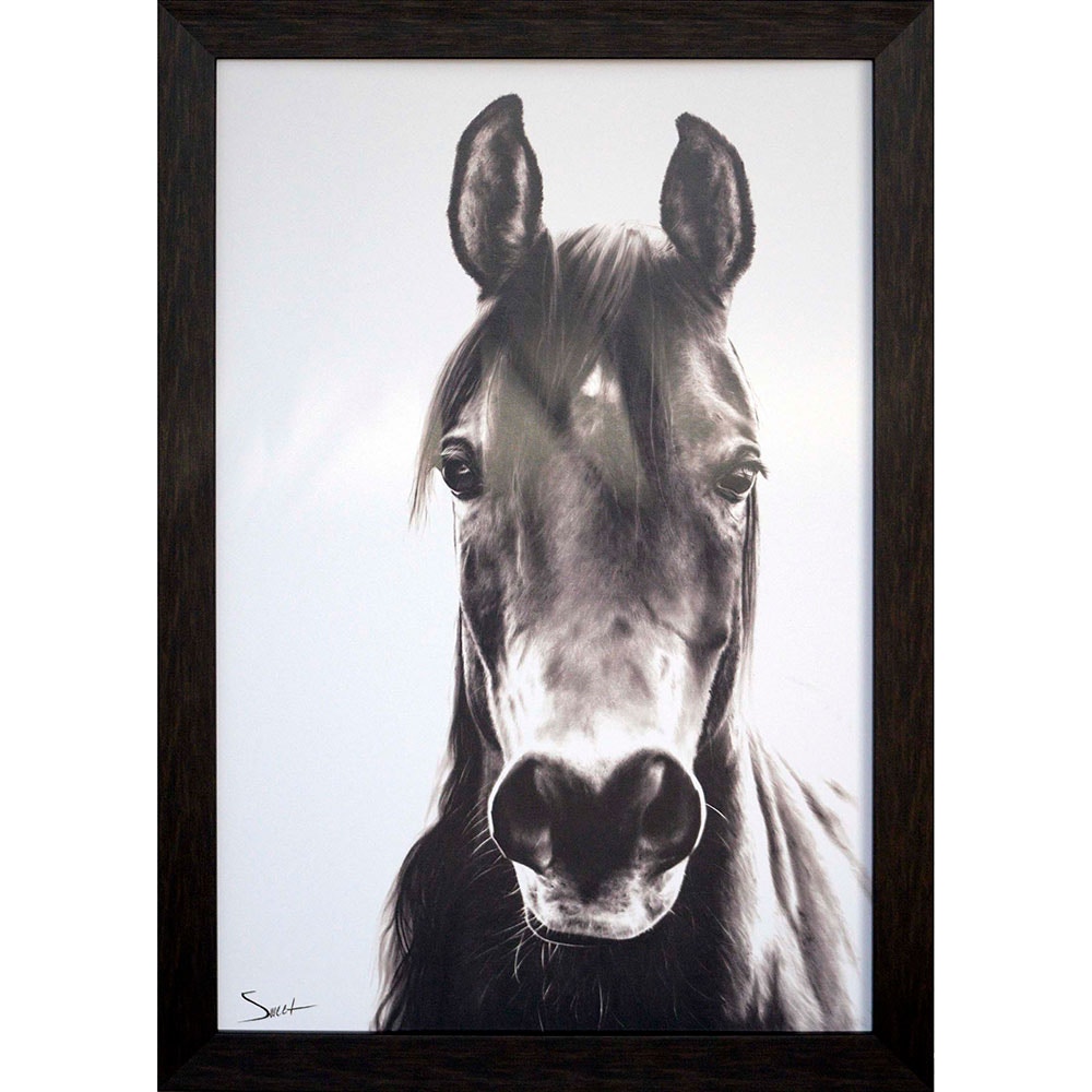  Horse Portrait 4163