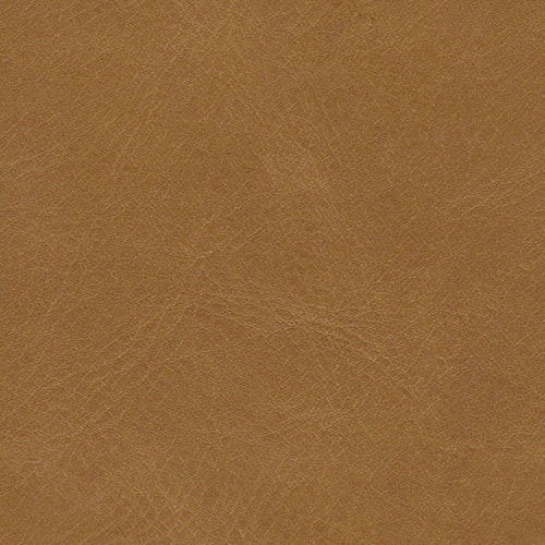   lyon_camel
