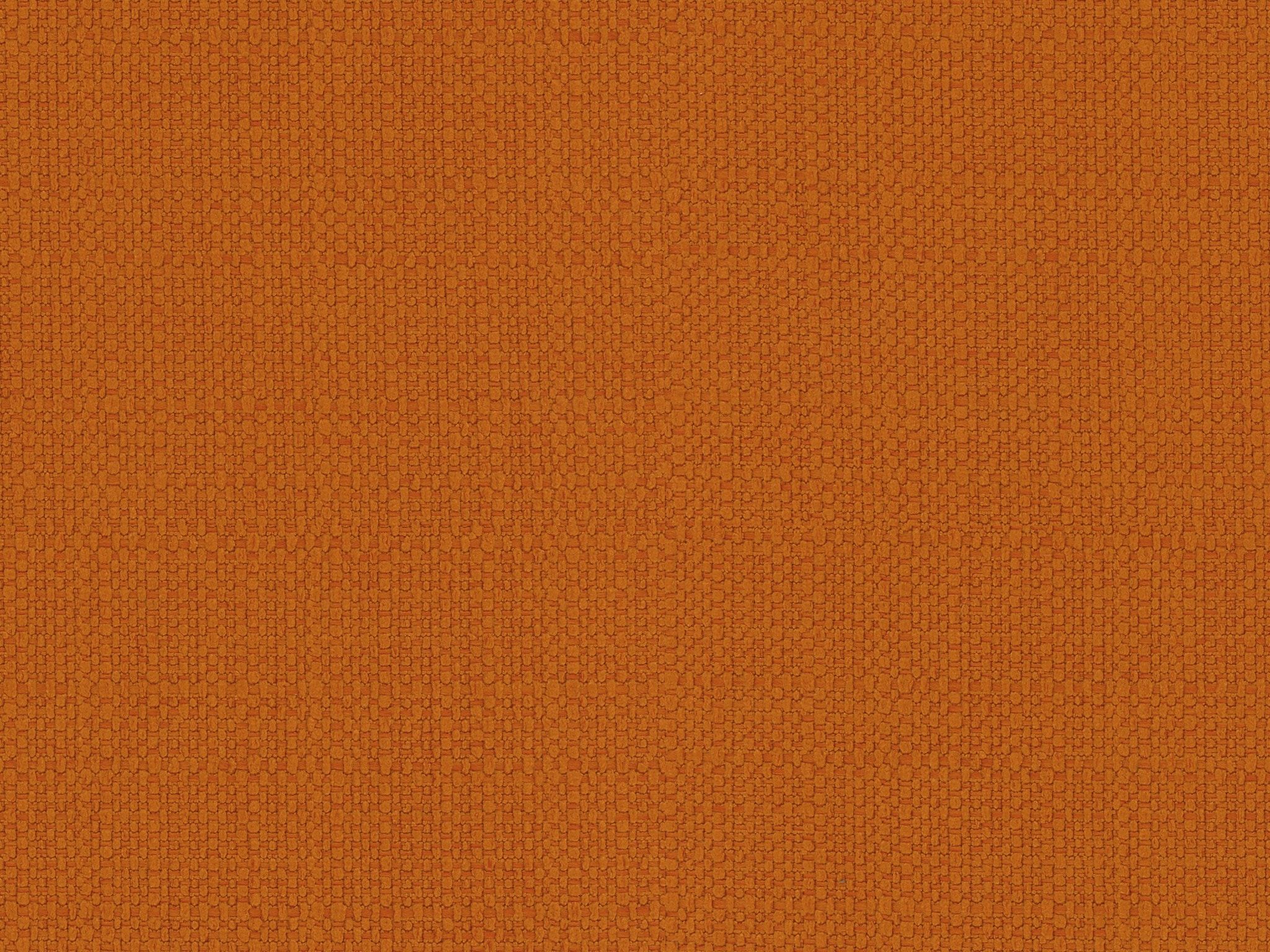   stockholm_saffron