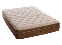 bodyform classic latex foam pillow