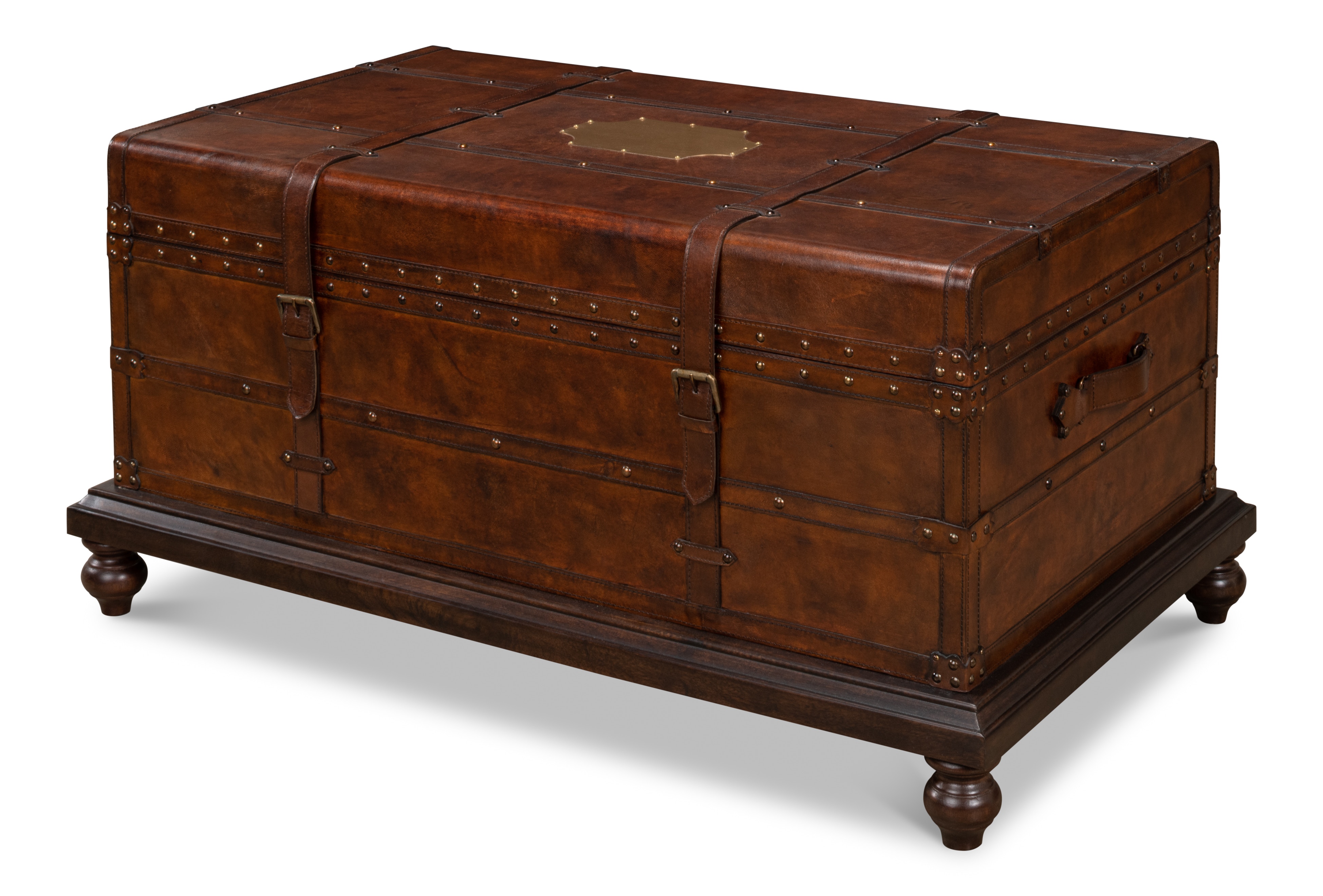Sarreid Ltd Living Room Laramie Trunk Coffee Table 26853 Hickory
