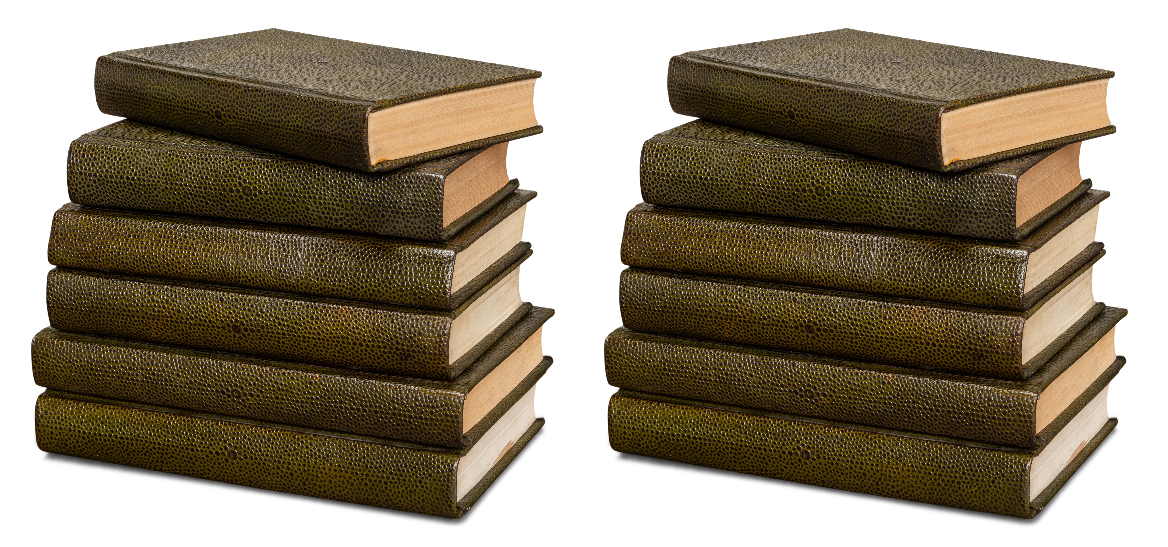  Shagreen Books, Set Of 12, Leaf 