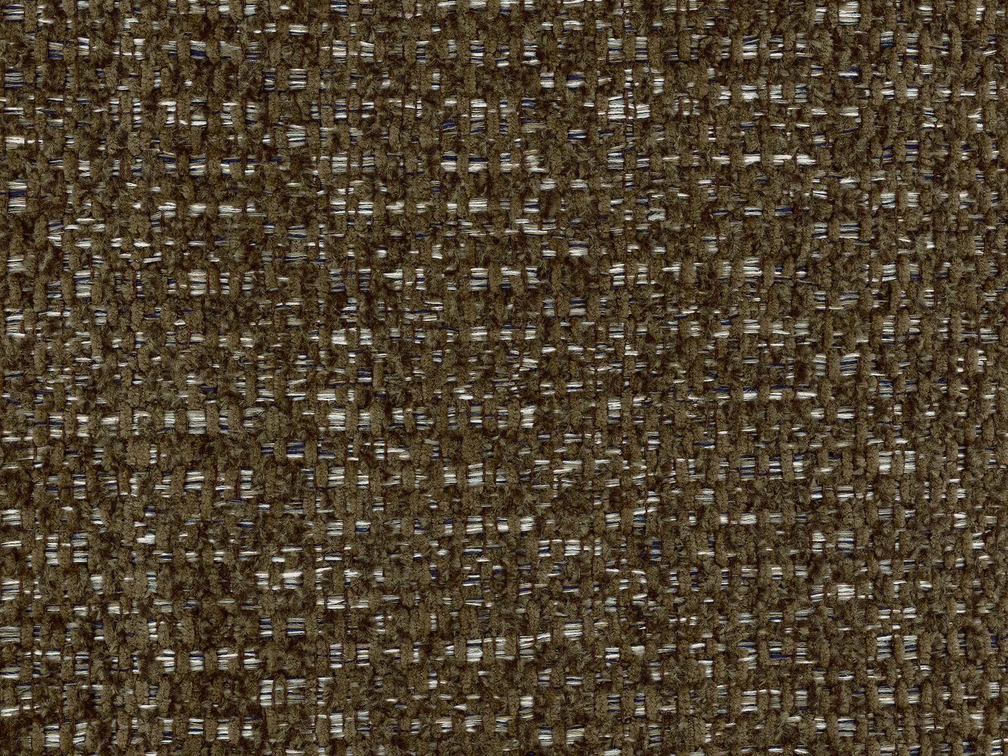 Carob 19046