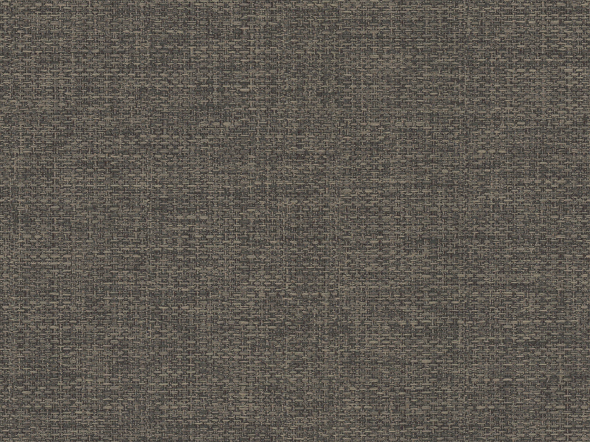 Brown 19706