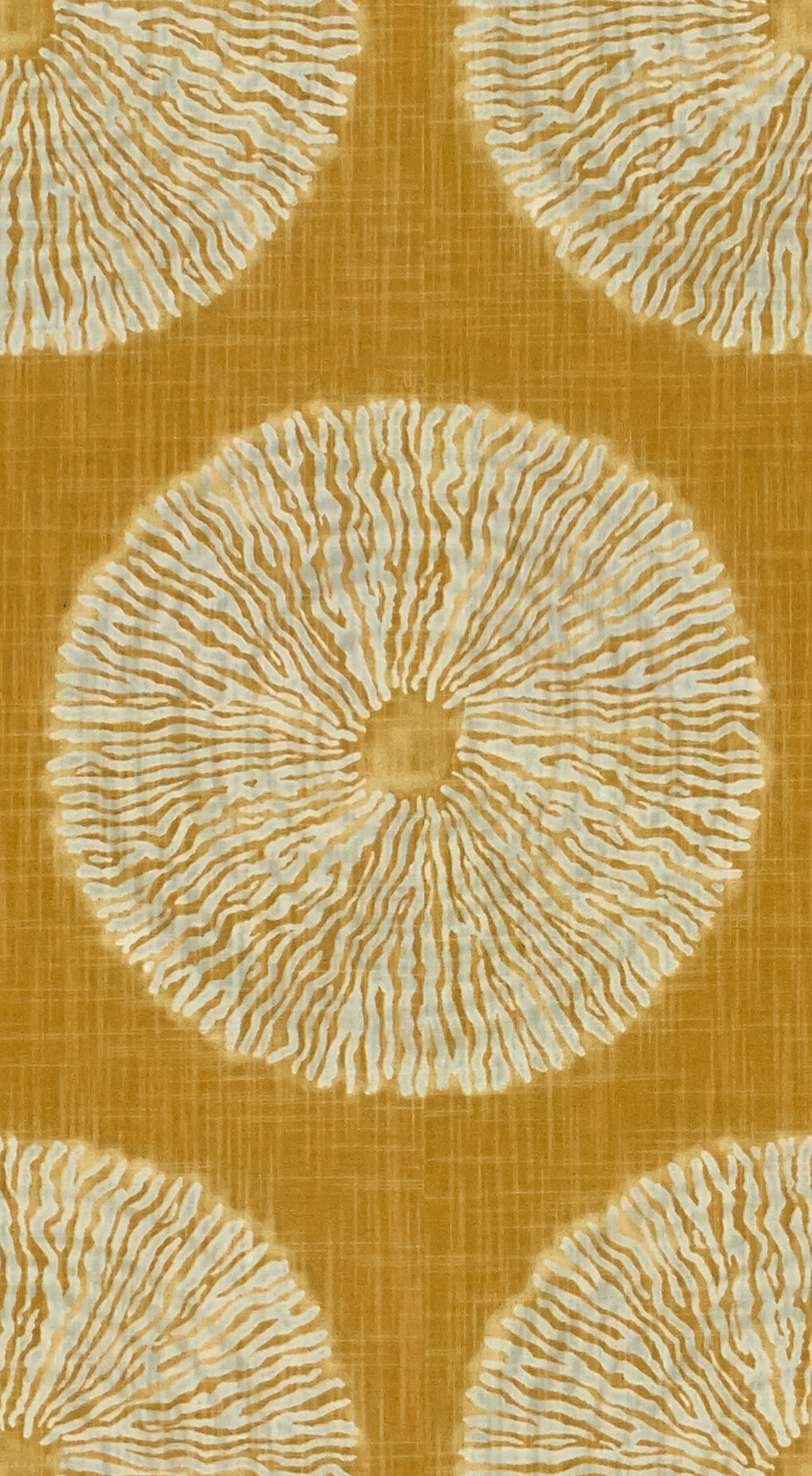 Amber 1C446-2
