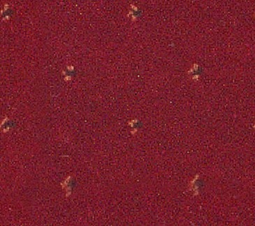 MicroD  31-3119