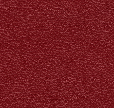 Coral 7094-7