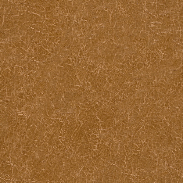 MicroD  9555-41