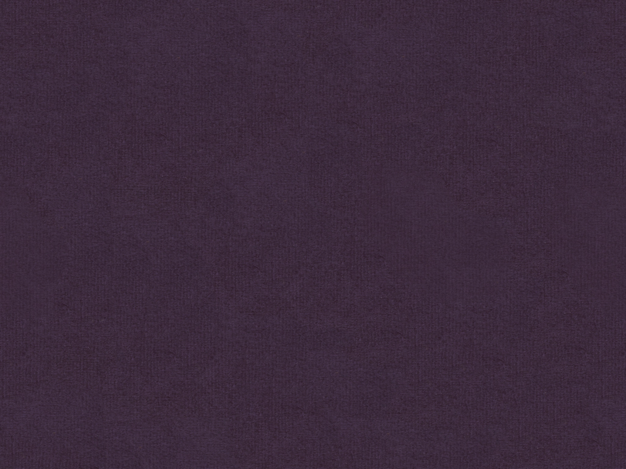 BELA AUBERGINE