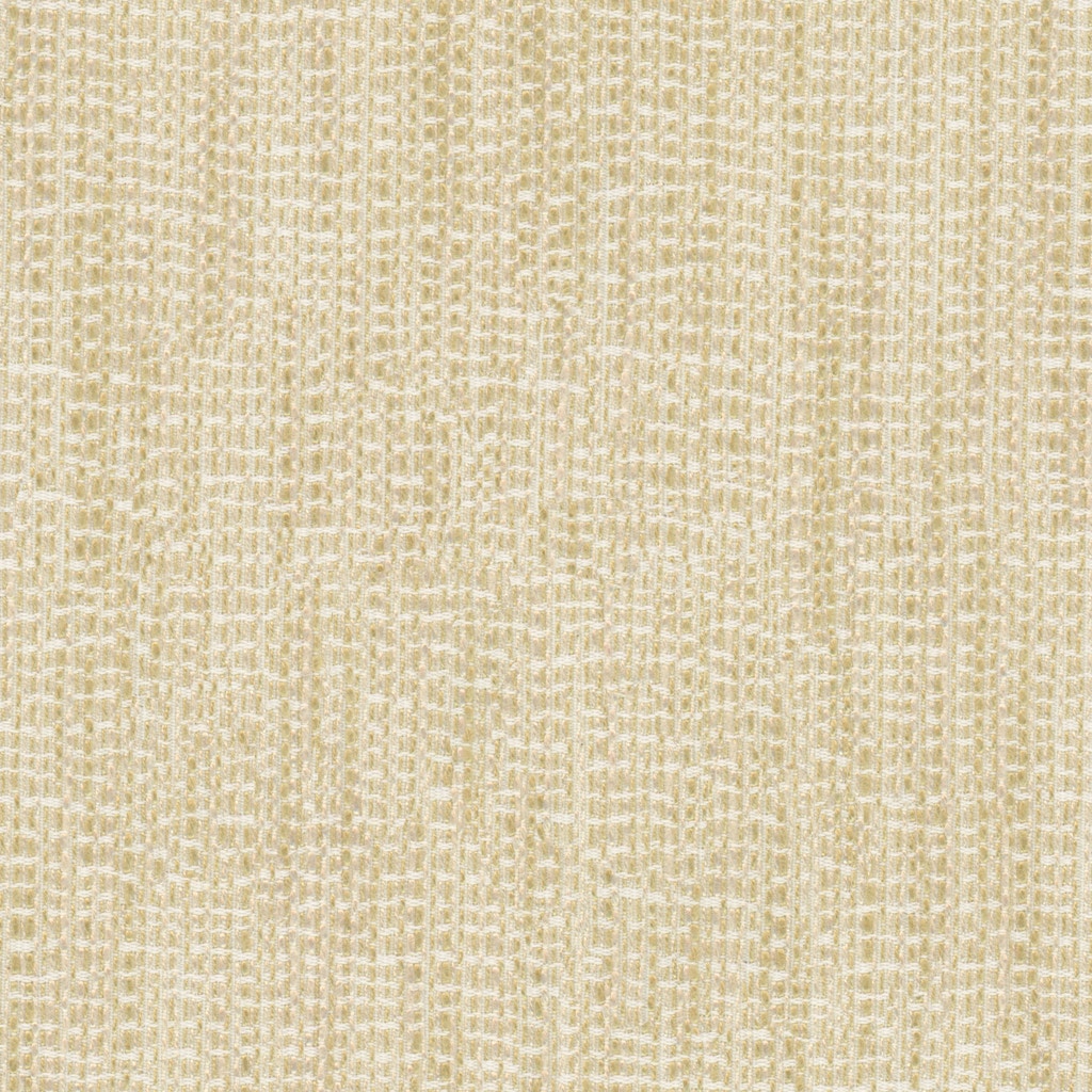 MicroD  BRIMFIELD CREAM