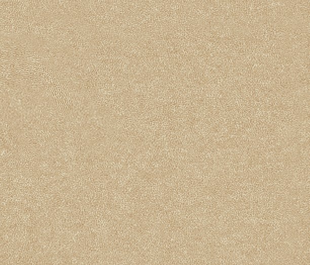 MicroD  CANVAS