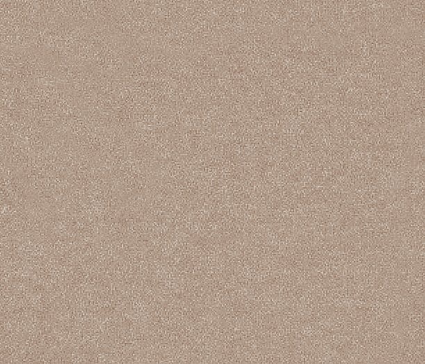 MicroD  CHAMOIS