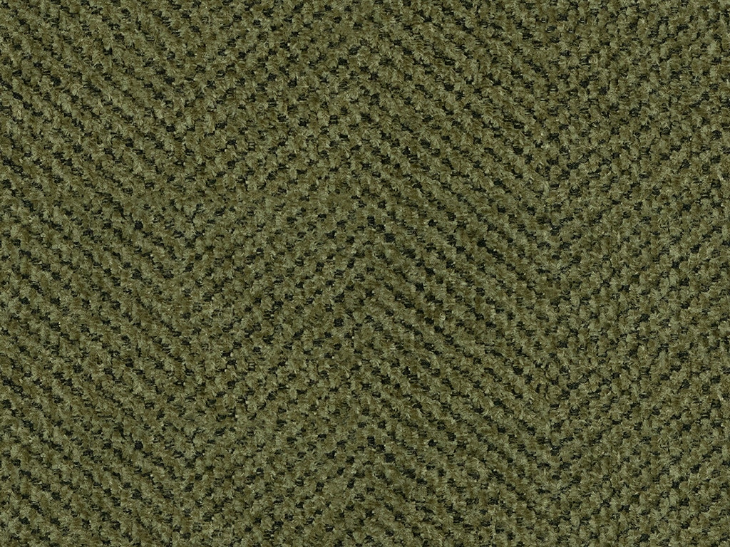 DOUBLE OLIVE NL E 1k