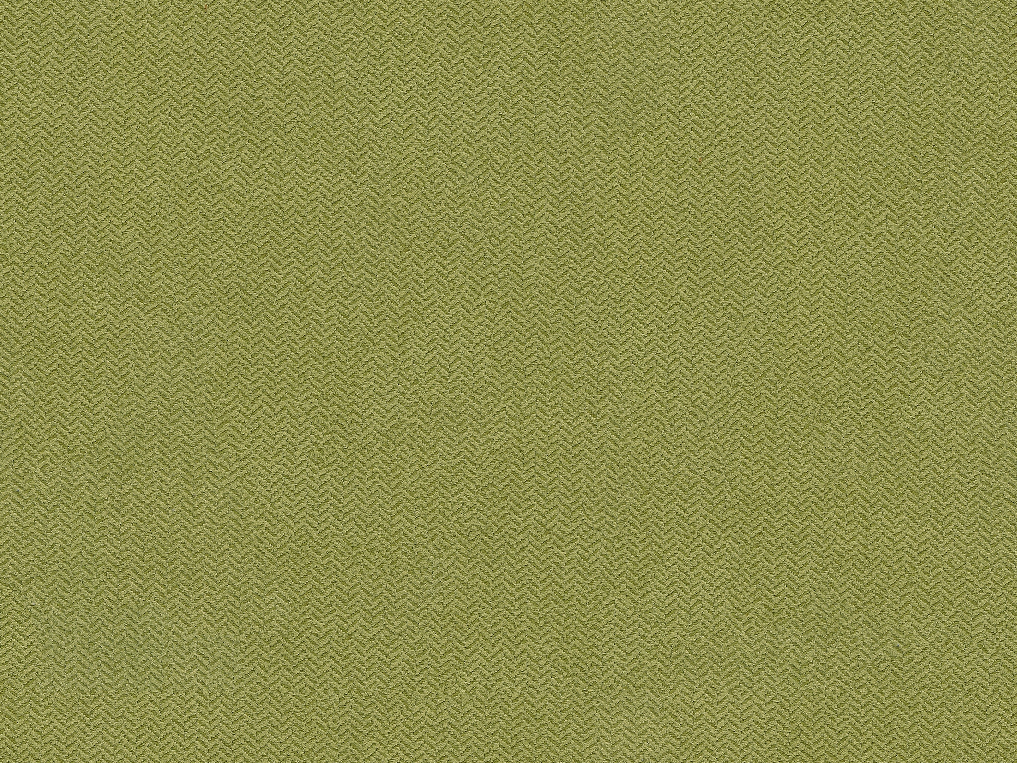 MicroD  ECHOSUEDE KIWI-SCAN