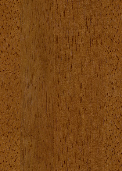 GOLDEN PECAN
