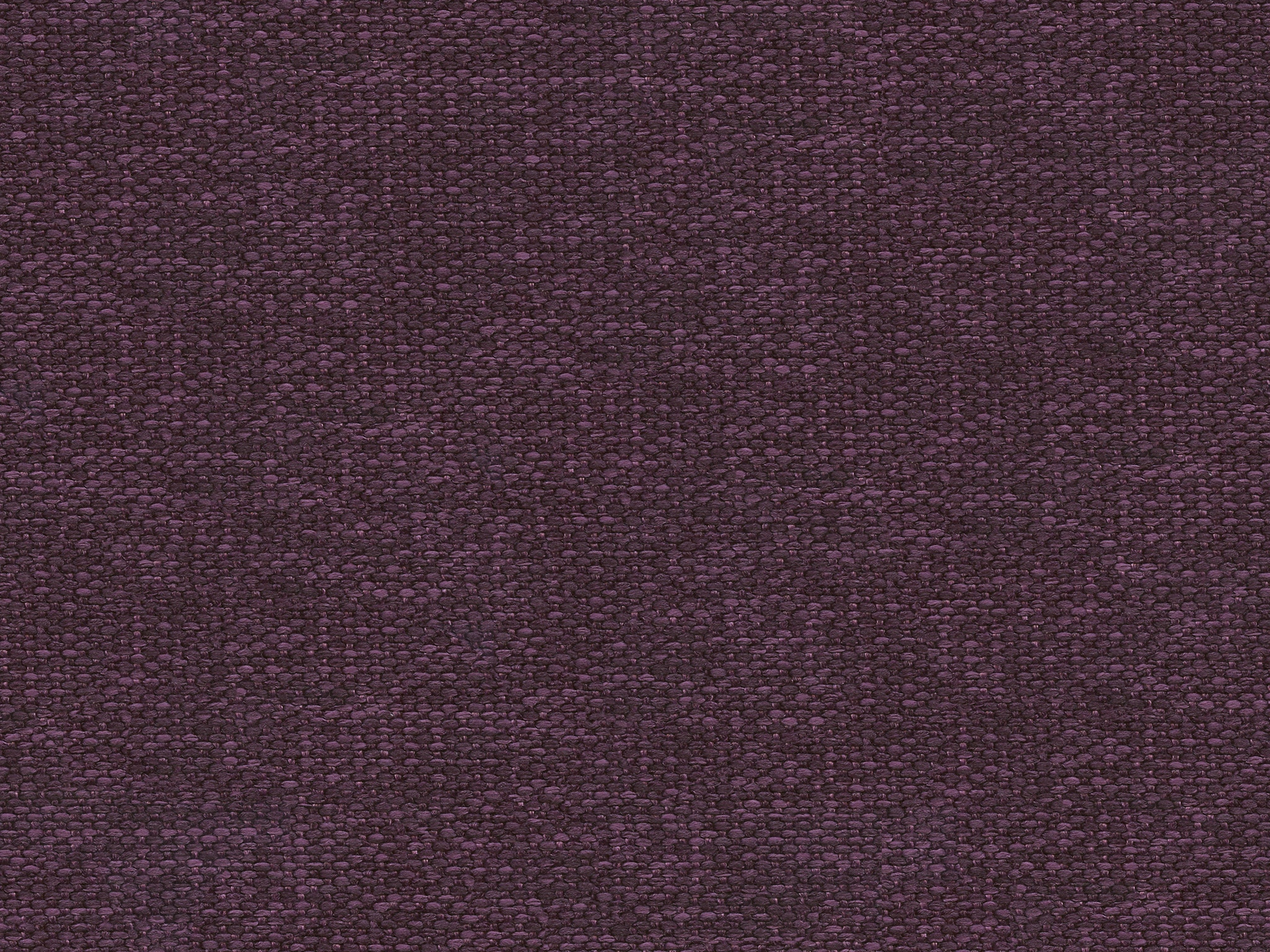 MicroD  KEY LARGO GRAPE-SCAN